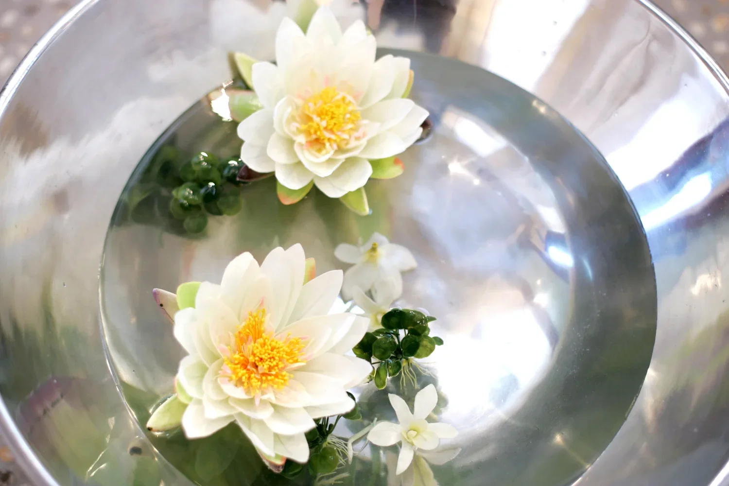 Lotus bowls in the lounge